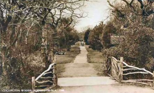 Bexhill - Collington Woods, Entrance