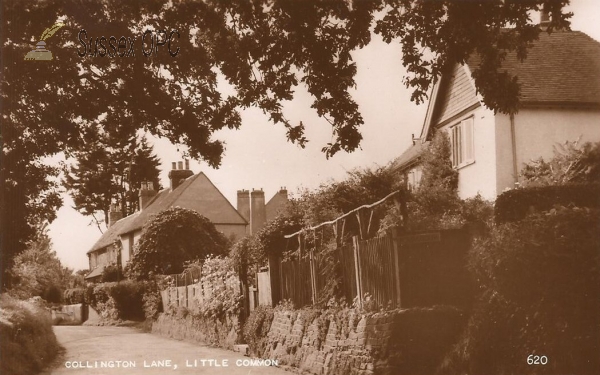 Little Common - Collington Lane