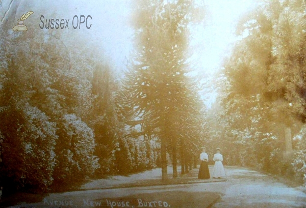 Image of Buxted - The Avenue, New House