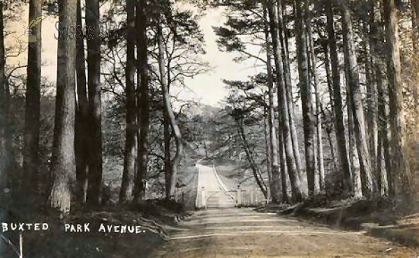 Image of Buxted - Park Avenue