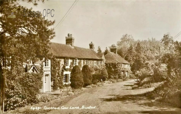 Image of Buxted - Spotted Cow Lane