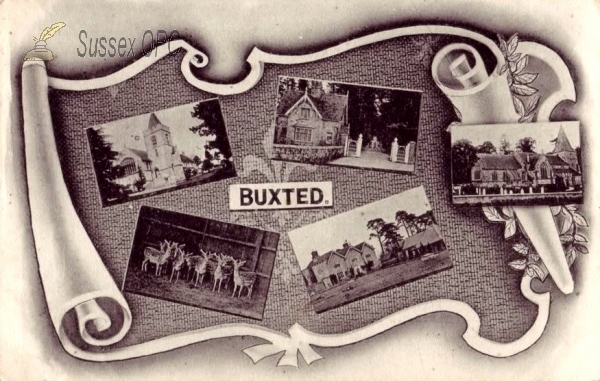 Image of Buxted - Multiview