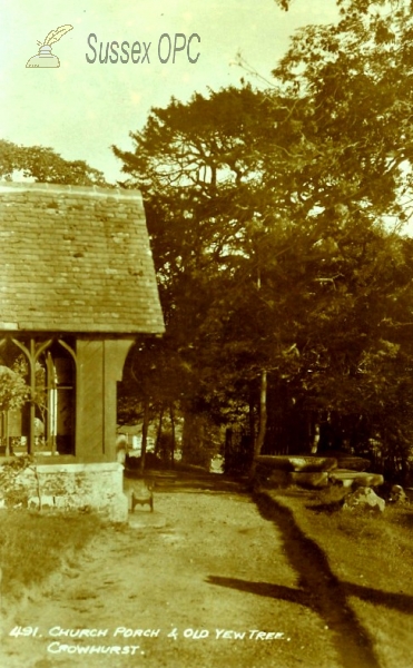 Crowhurst - Old yew tree and church porch