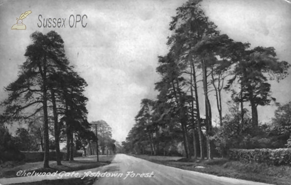 Chelwood Gate - Ashdown Forest