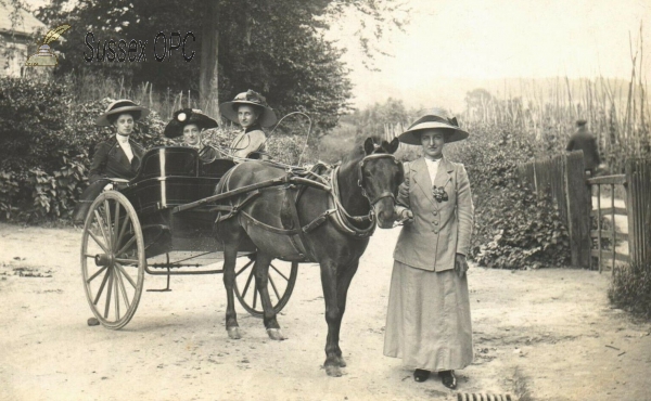 Image of Uckfield - Ladies with a horse & trap