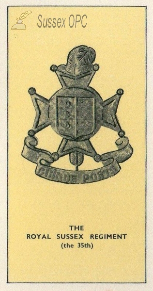 Royal Sussex Regiment - Badge (35th)