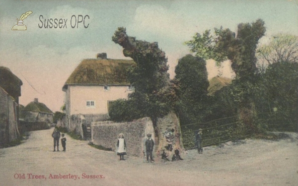 Amberley - Old Trees