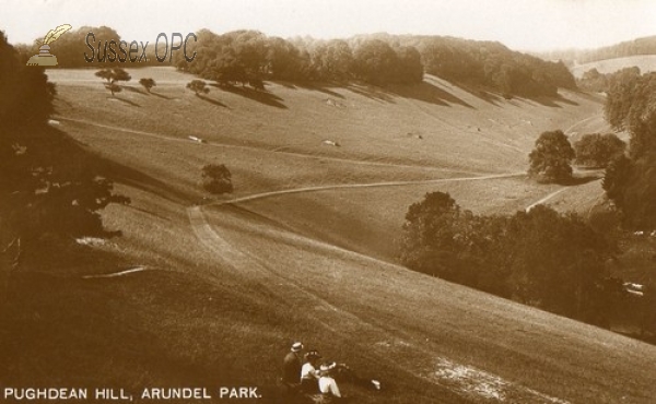 Arundel - Pughdean Hill, Arundel Park