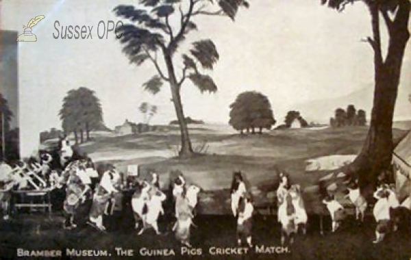 Image of Bramber Museum - Guinea Pigs Cricket Match