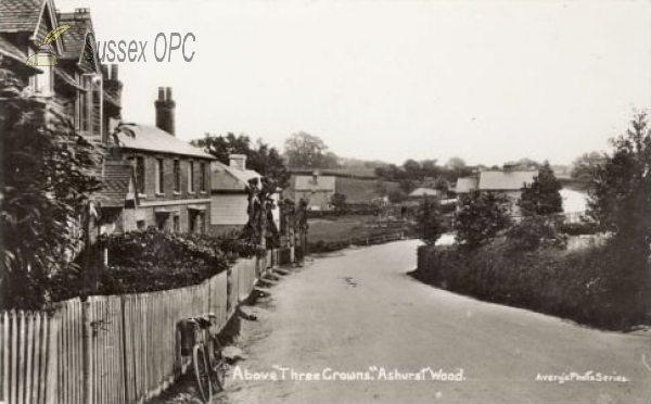 Ashurst Wood - Above the Three Crowns