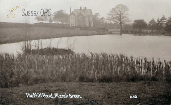Marsh Green - Mill Pond