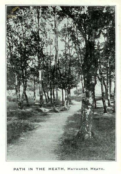 Image of Haywards Heath - Path in the Heath