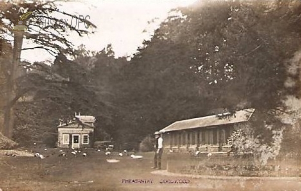 Westhampnett - Goodwood House, Pheasantry
