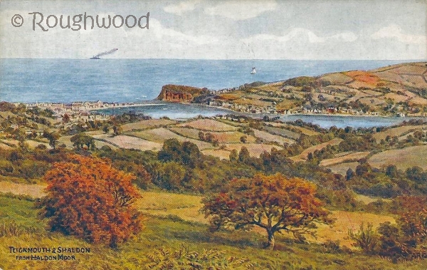 Image of Teignmouth & Shaldon - View from Haldon Moor