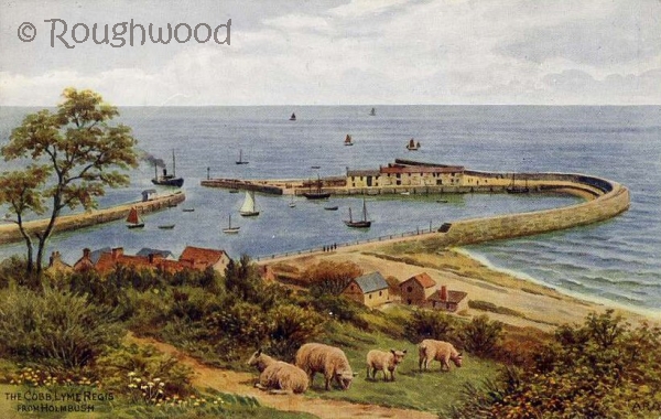 Image of Lyme Regis - Harbour & Cobb
