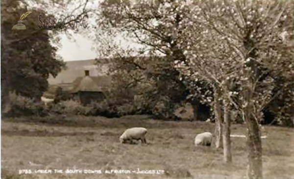 Image of Alfriston - Under the South Downs