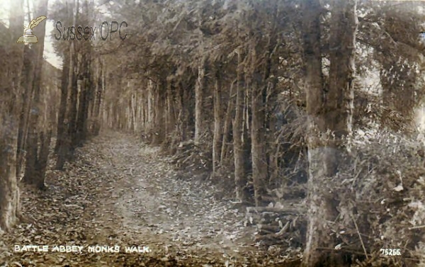 Image of Battle - Battle Abbey, Monk's Walk