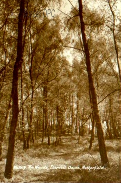 Image of Netherfield - Darwell Down