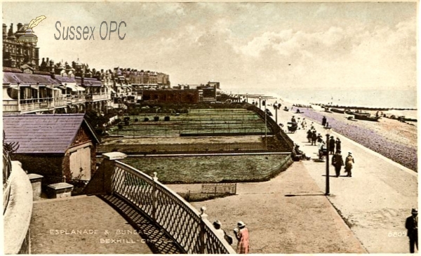 Image of Bexhill - Esplanade & Bungalows