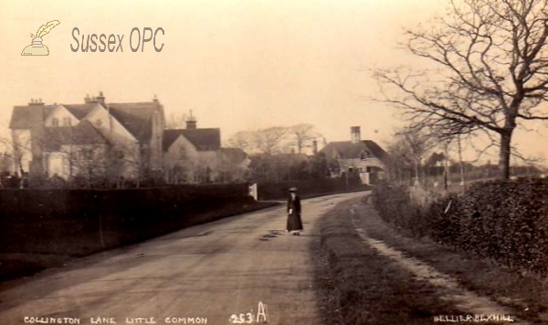 Image of Little Common - Collington Lane