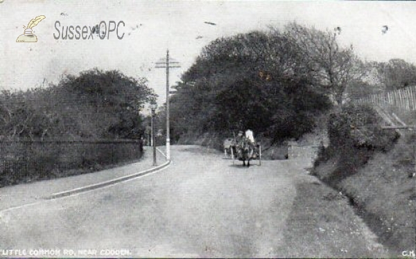 Cooden - Little Common Road