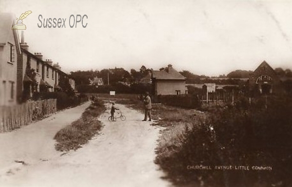 Little Common - Churchill Avenue