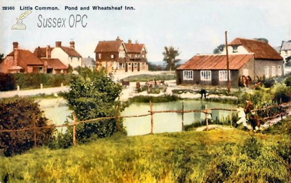 Little Common - Wheatsheaf Inn & Pond