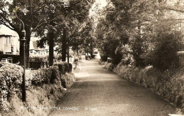 Little Common - Pear Tree Lane