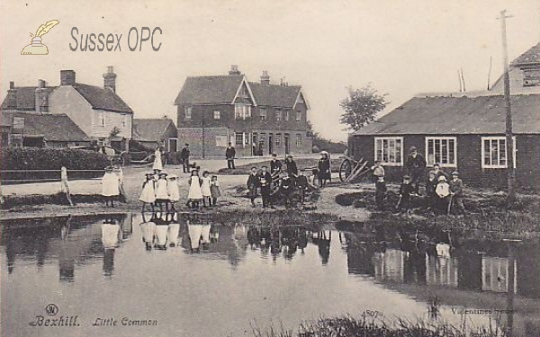 Little Common - Wheatsheaf Inn & Pond