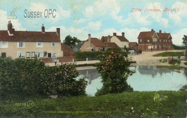 Image of Littlecommon - Village & Pond