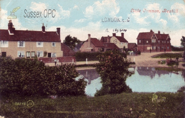 Image of Little Common - Pond