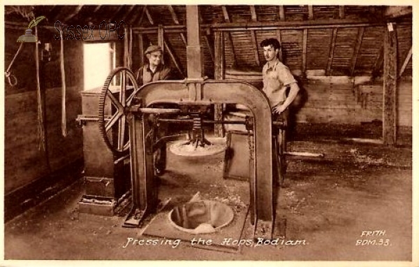 Image of Bodiam - Pressing the Hops
