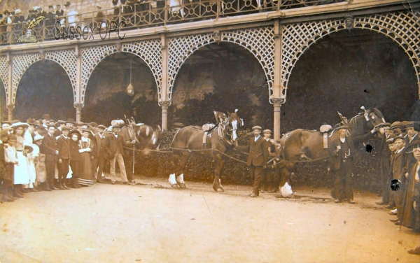 Image of Brighton - Madeira Road - Shire Horses