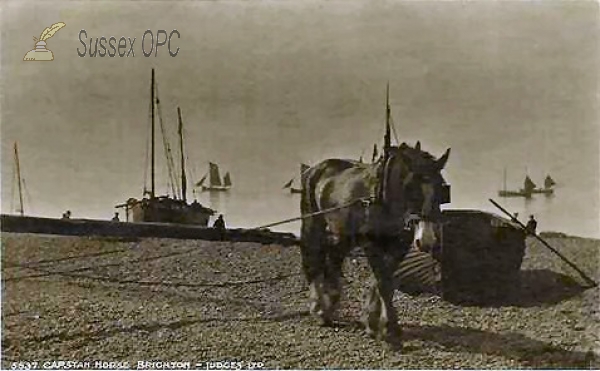 Image of Brighton - Capstan Horse