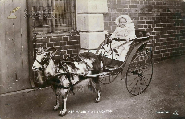 Image of Brighton -  Her Majesty in a Goat Cart