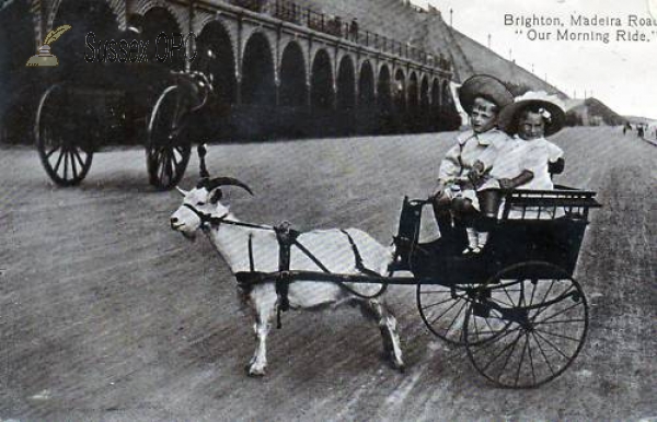 Image of Brighton - Madeira Road - Goat Cart
