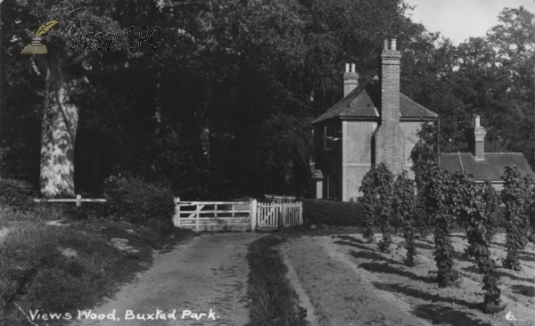 Image of Buxted - Buxted Park (Views Wood)