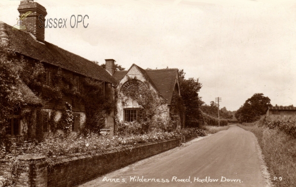 Image of Hadlow Down - Wilderness Road (Anne's)