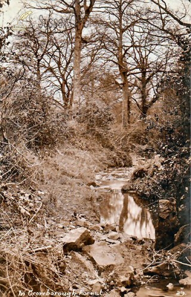 Image of Crowborough - Crowborough Forest