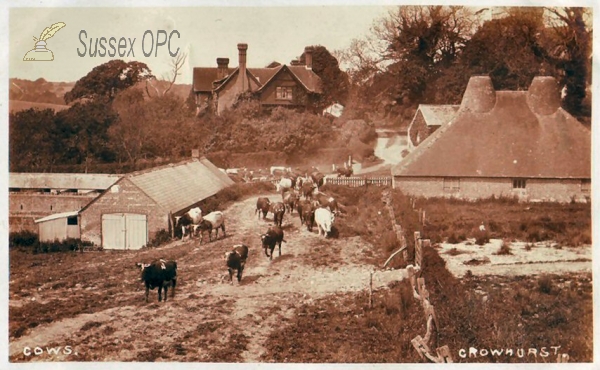 Crowhurst - Farmyard Scene