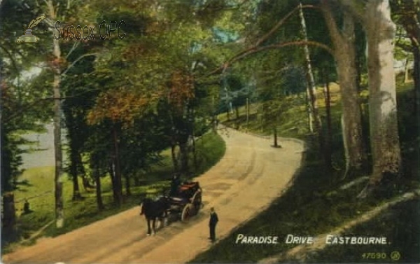 Image of Eastbourne - Paradise Drive