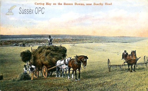 Image of Carting Hay on the Sussex Downs, near Beachy Head
