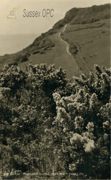 Image of Fairlight - Cliffs (Gorse)
