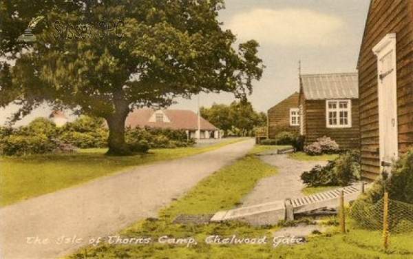 Image of Chelwood Gate - Isle of Thorns (Pool)