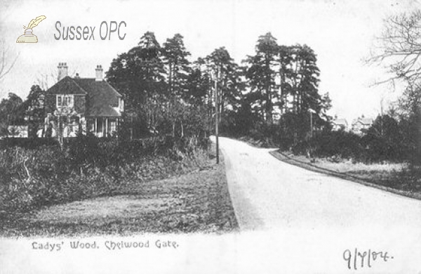 Chelwood Gate - Lady's Wood