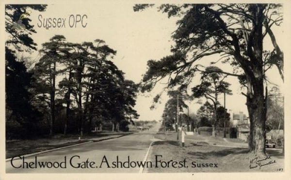 Chelwood Gate - Ashdown Forest