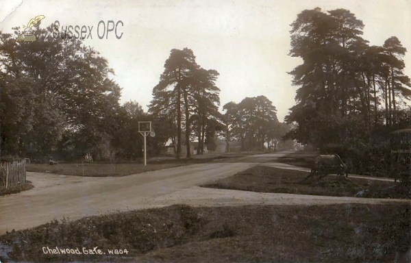 Chelwood Gate - Road Scene