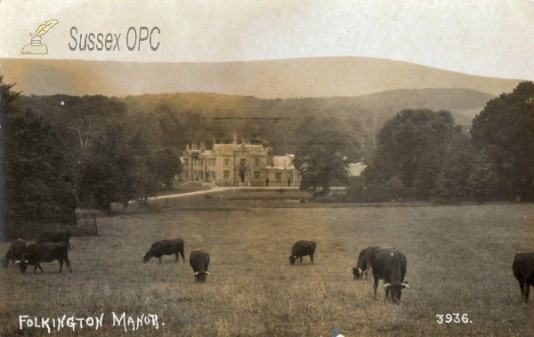 Image of Folkington - Manor
