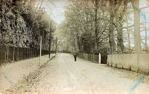 Image of Frant - Holly Walk