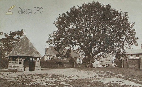 Image of Frant - Manor Oak